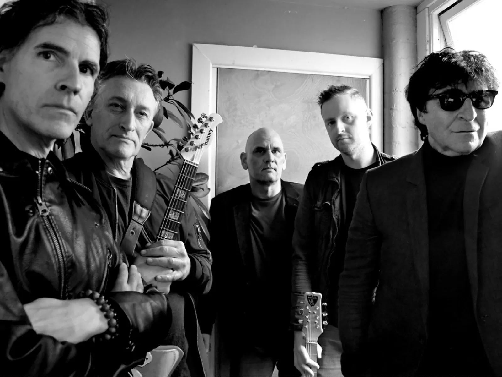 The Chameleons