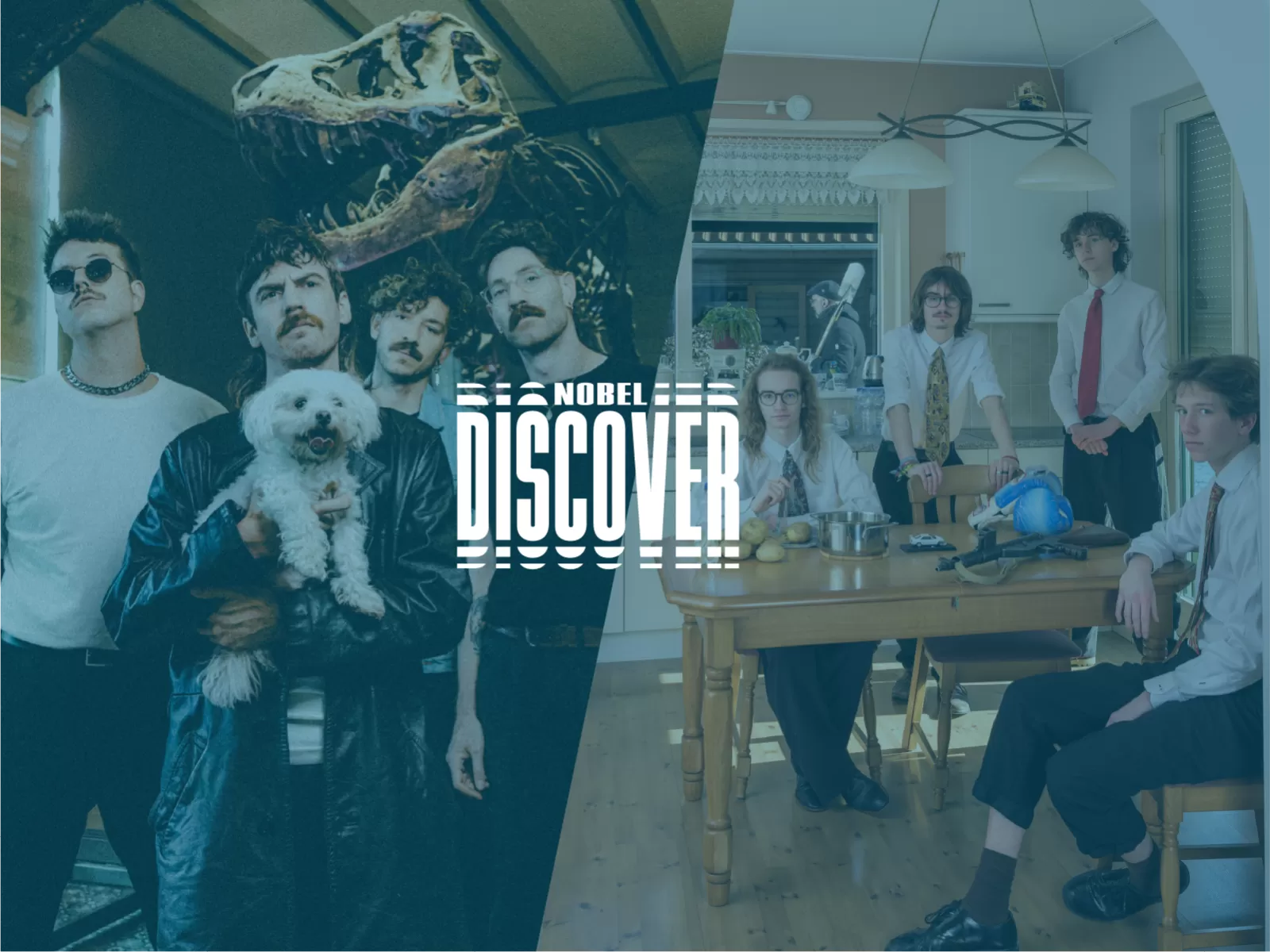 Discover showcaseavond Ronker Grote Geelstaart talent noiserock Nobel Leiden