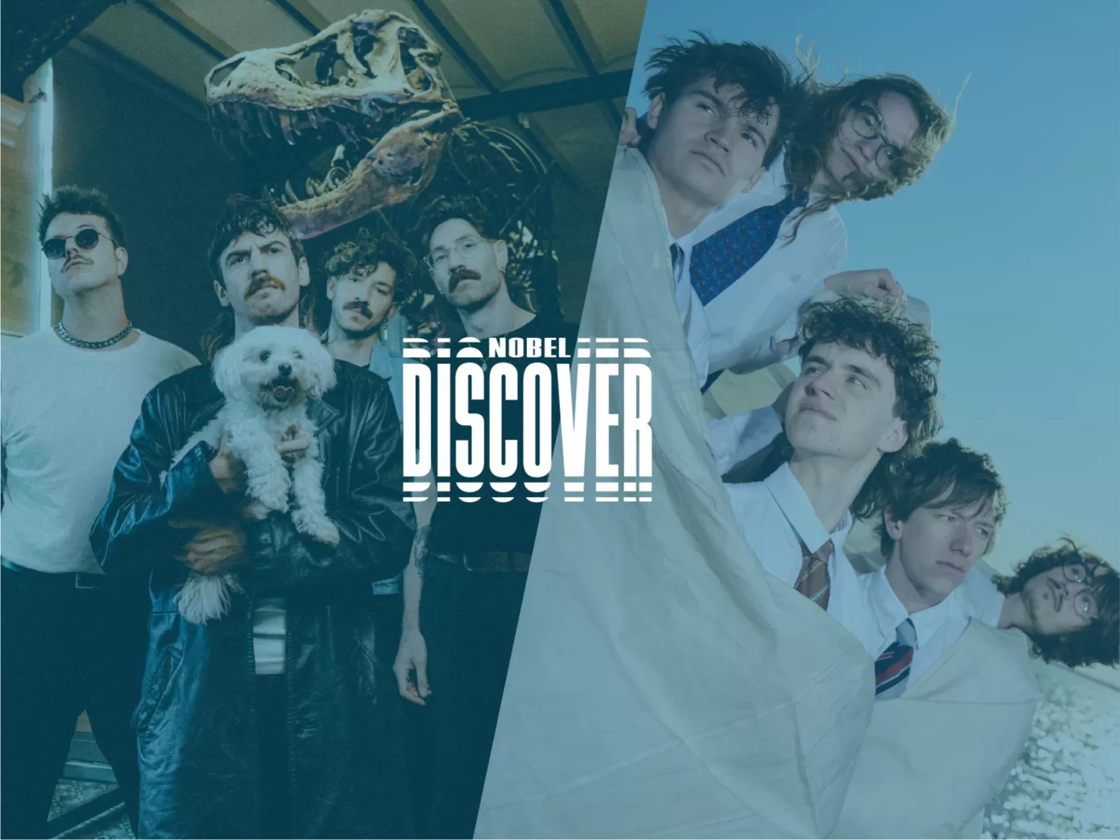 Discover Ronker Grote Geelstaart showcase concerten live Nobel Leiden