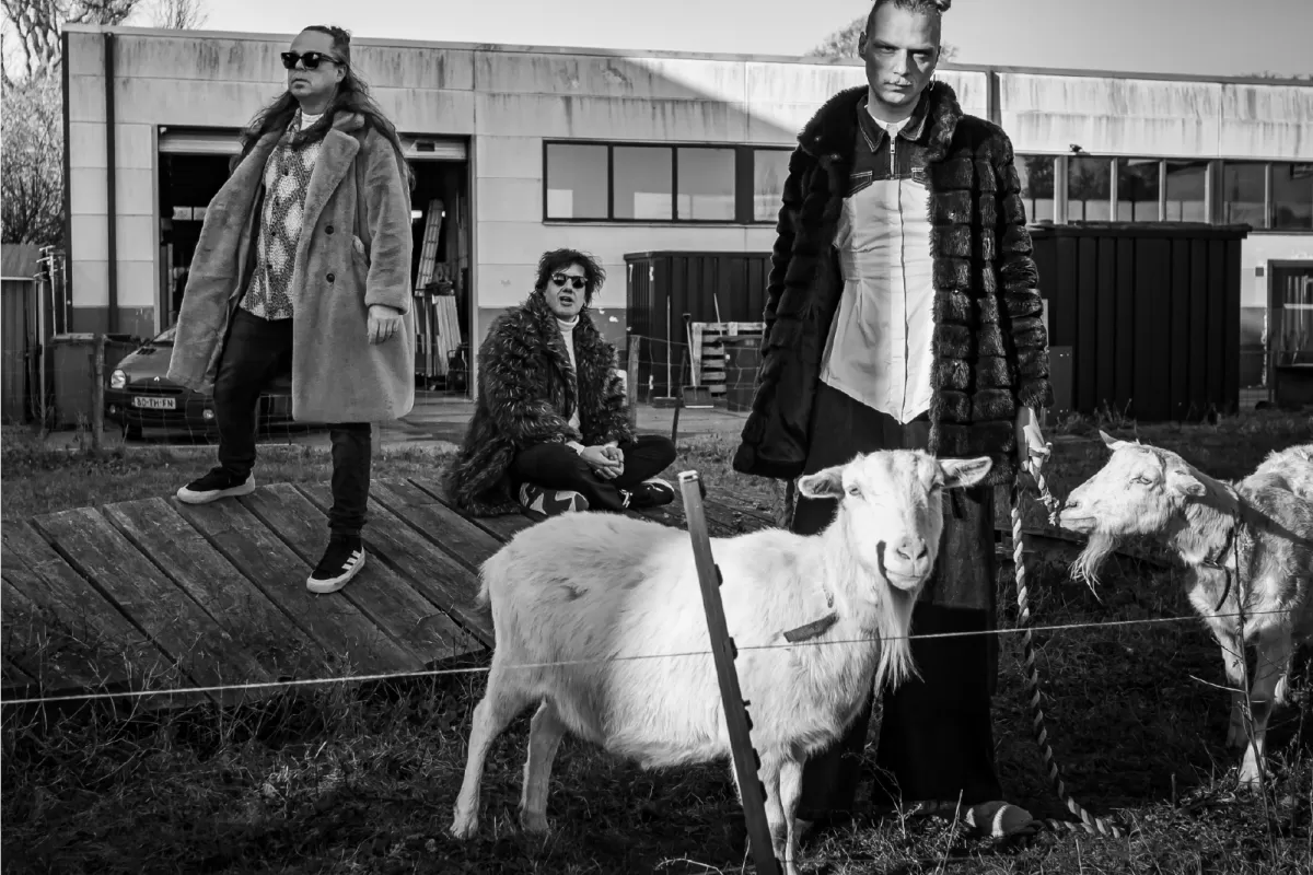 Prins S. en De Geit Kinderboerderij elektro pop live Nobel Leiden