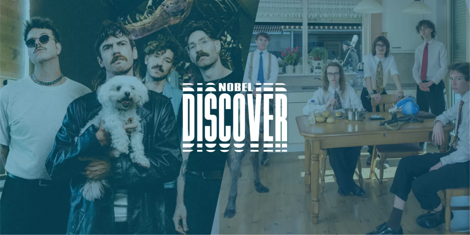 Discover showcaseavond Ronker Grote Geelstaart talent noiserock Nobel Leiden