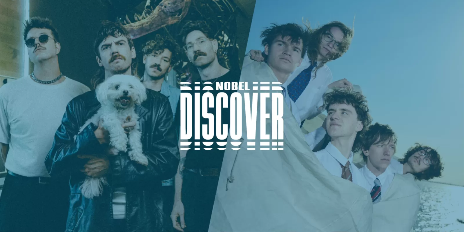 Discover Ronker Grote Geelstaart showcase concerten live Nobel Leiden